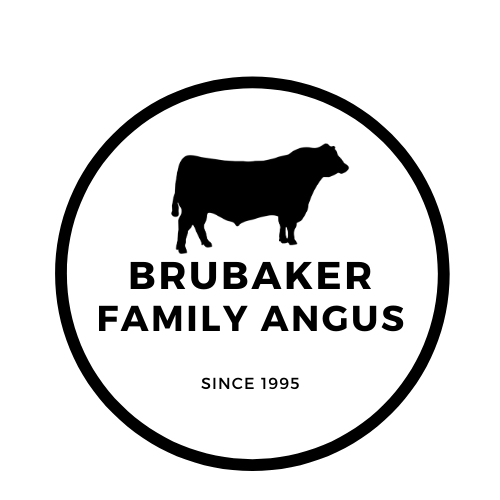 Brubaker Family Angus Logo
