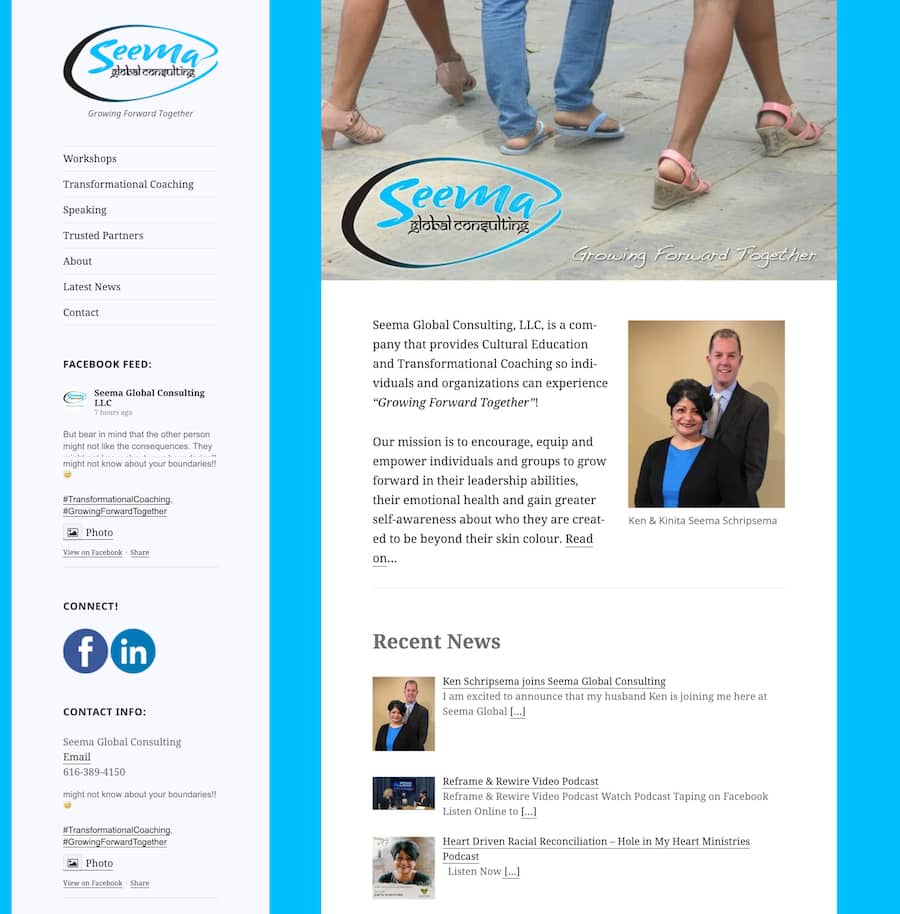 seema global consulting website before