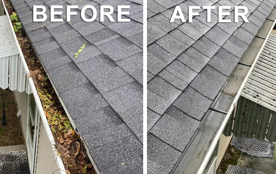 6 of the Most Common Things You'll Find Gutter Cleaning
