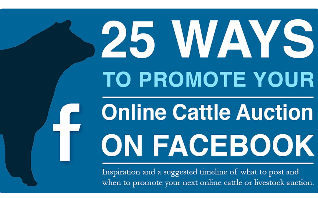 25 Ways To Promote Your Online Cattle Auction on Facebook
