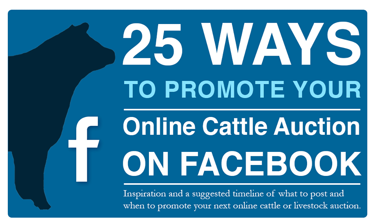 25 Ways To Promote Your Online Cattle Auction On Facebook