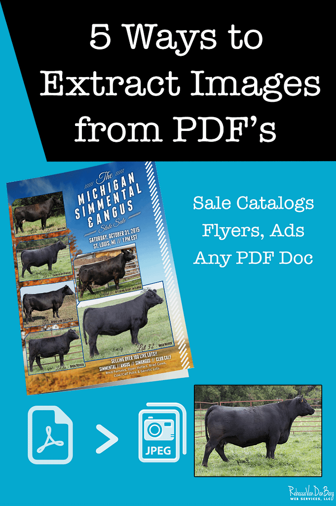 5 ways to extract images from PDFs