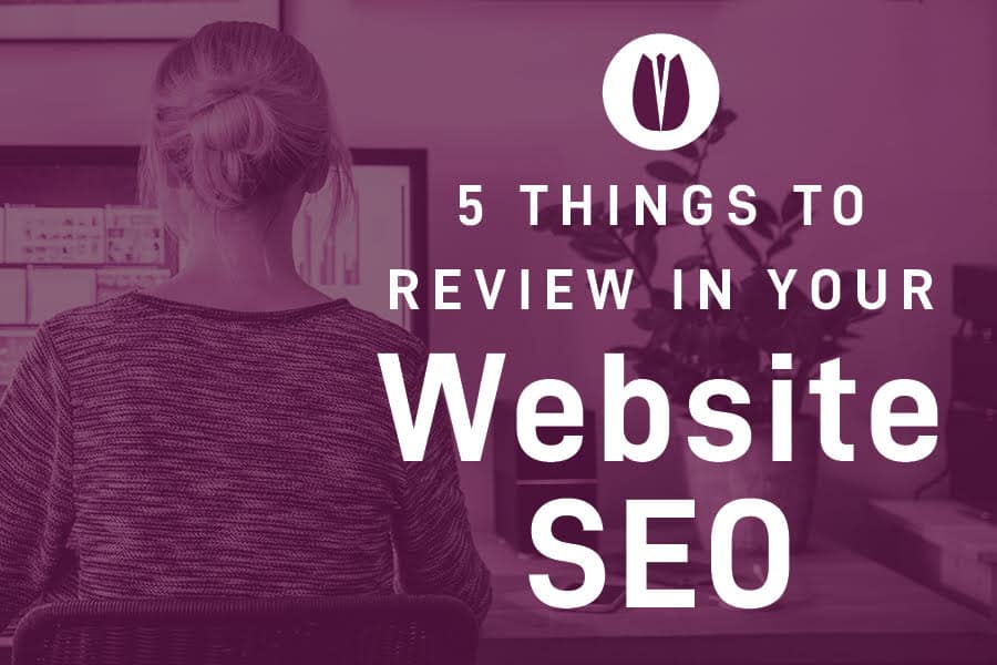 5 things to review in your website SEO