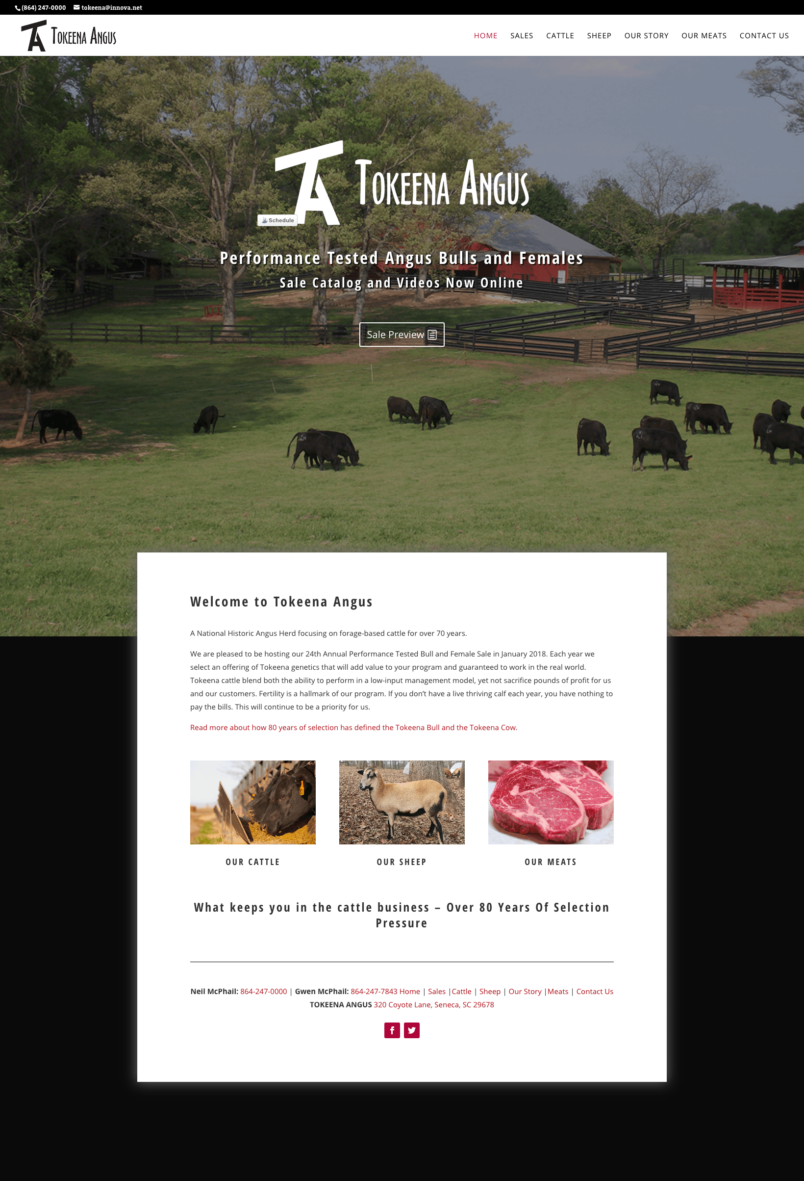 tokeena angus website layout