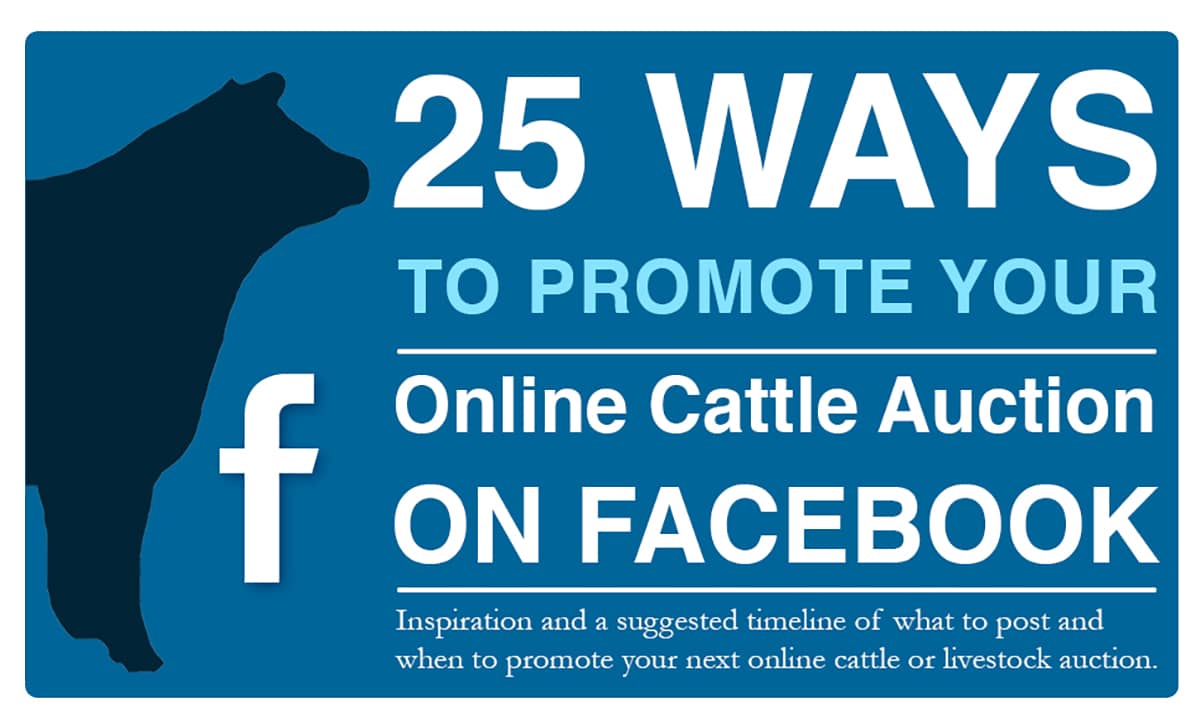 25 Ways To Promote Your Online Cattle Auction on Facebook - VanDenBerg Web  + Creative